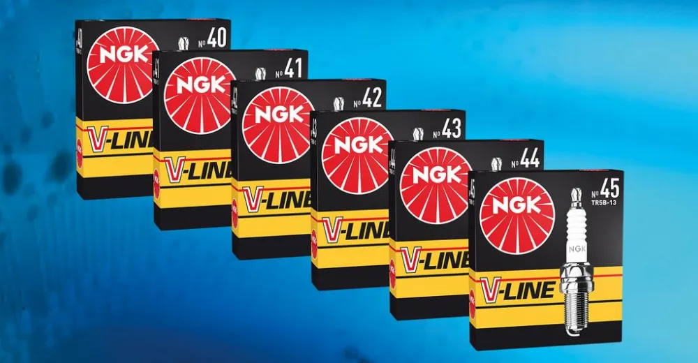 Шесть новобранцев в линейке NGK
