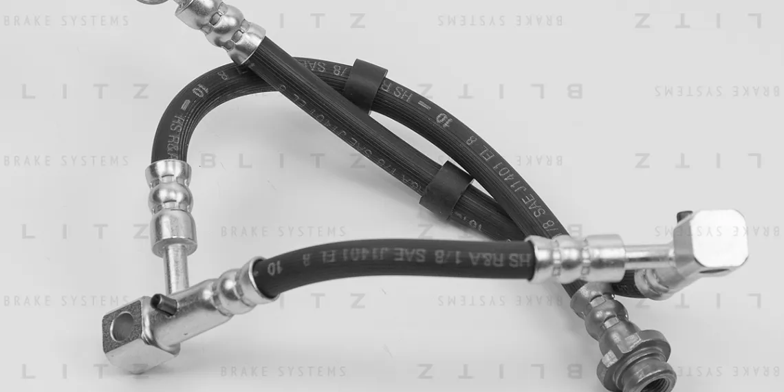 BLITZ продолжает расширение ассортимента на российском рынке
